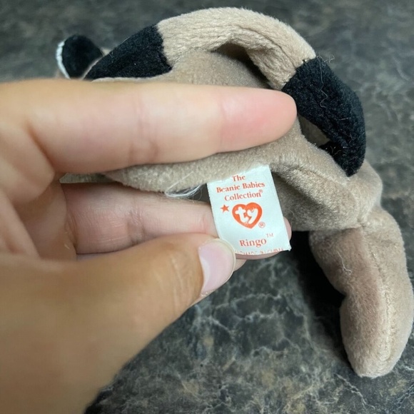 Ty Beanie Babies 1995 Ringo the Raccoon - Picture 7 of 7